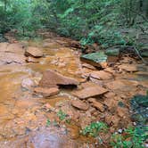 Review photo of Fall Creek Falls State Park Campground by Dan R., June 15, 2020
