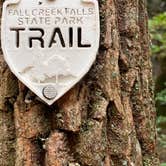 Review photo of Fall Creek Falls State Park Campground by Dan R., June 15, 2020