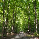 Review photo of Pete's Lake Campground by Nancy W., October 23, 2017