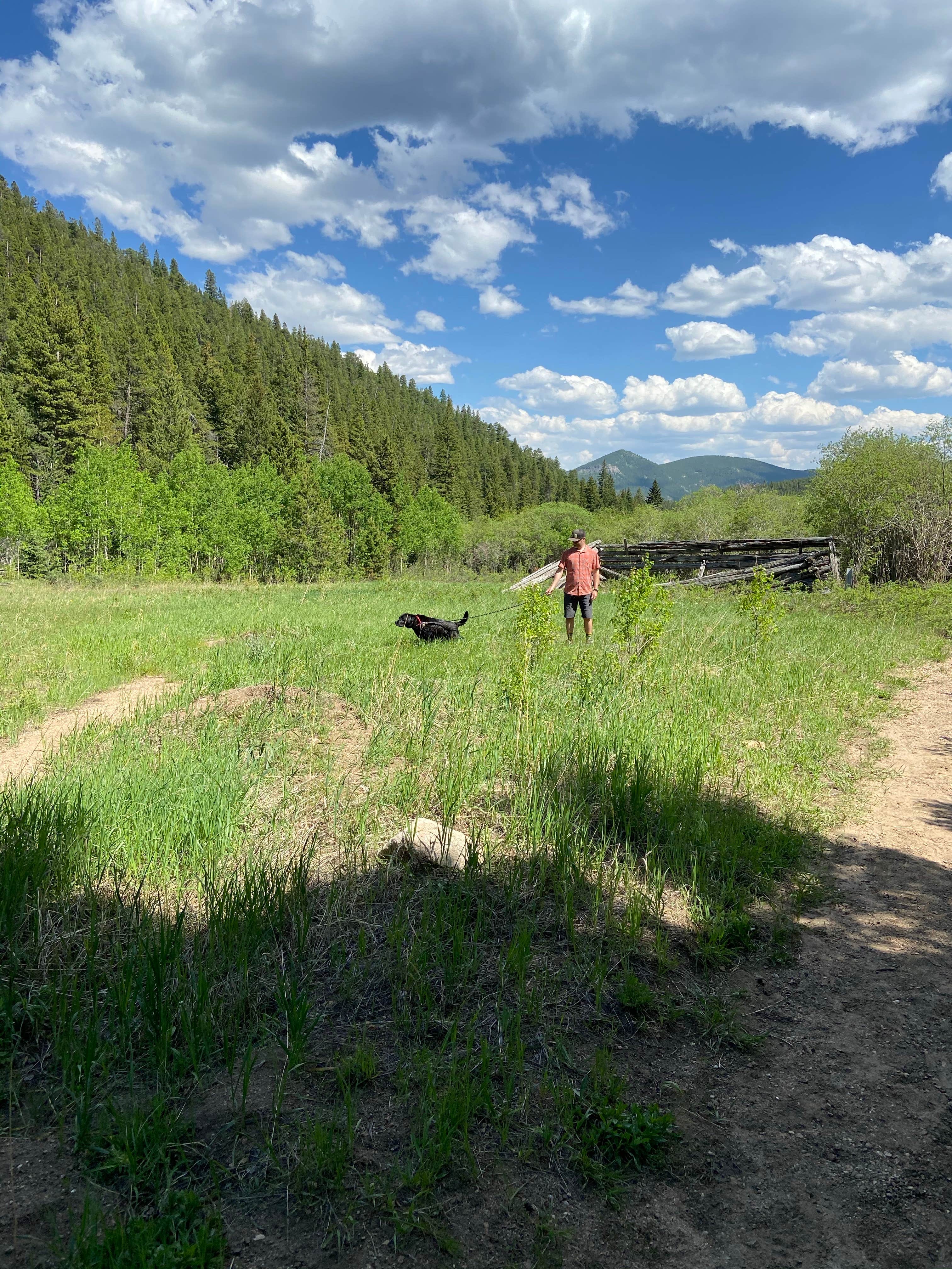 Camper submitted image from Frazer Meadow Campground — Golden Gate Canyon - 4