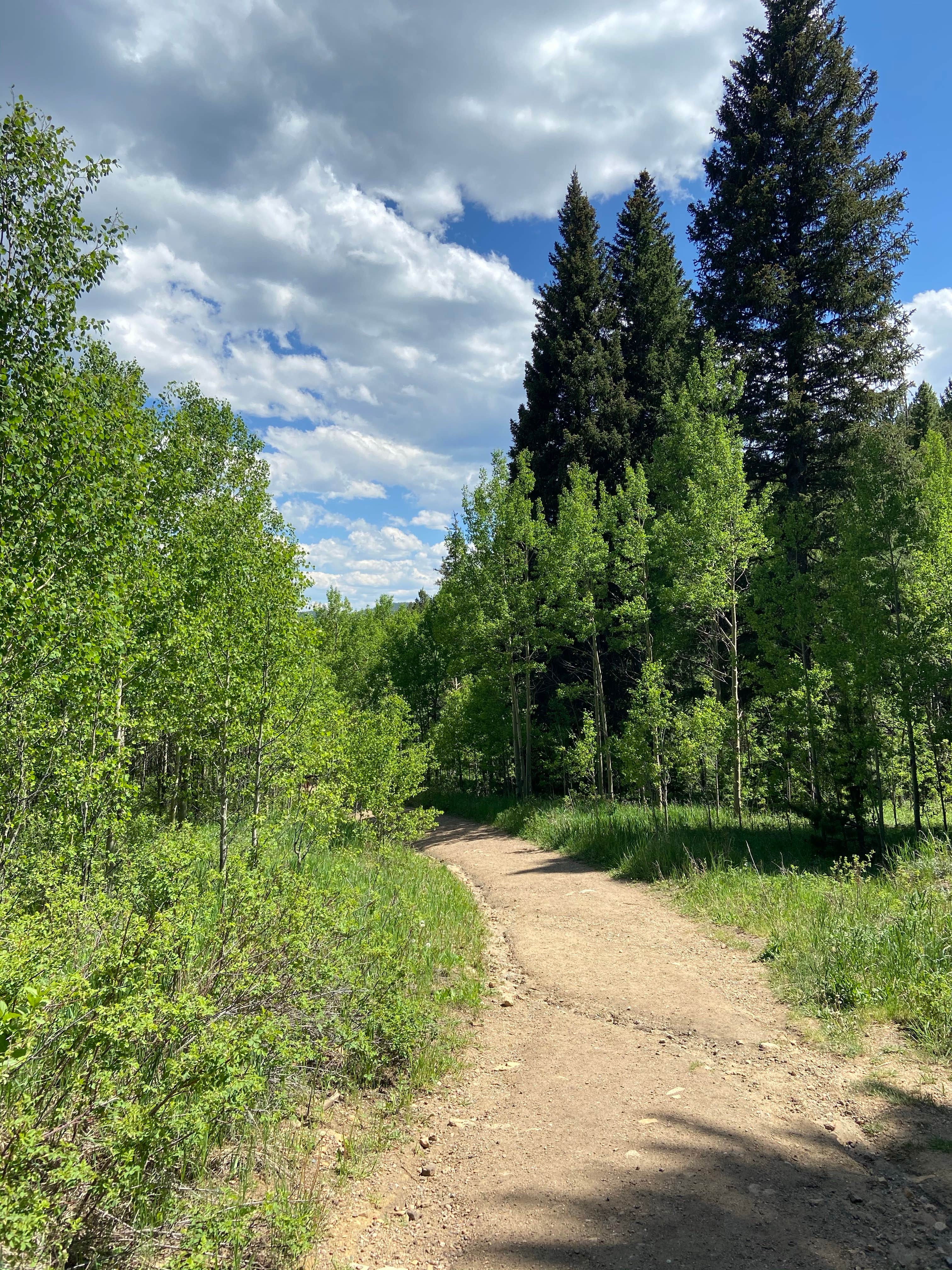 Camper submitted image from Frazer Meadow Campground — Golden Gate Canyon - 3