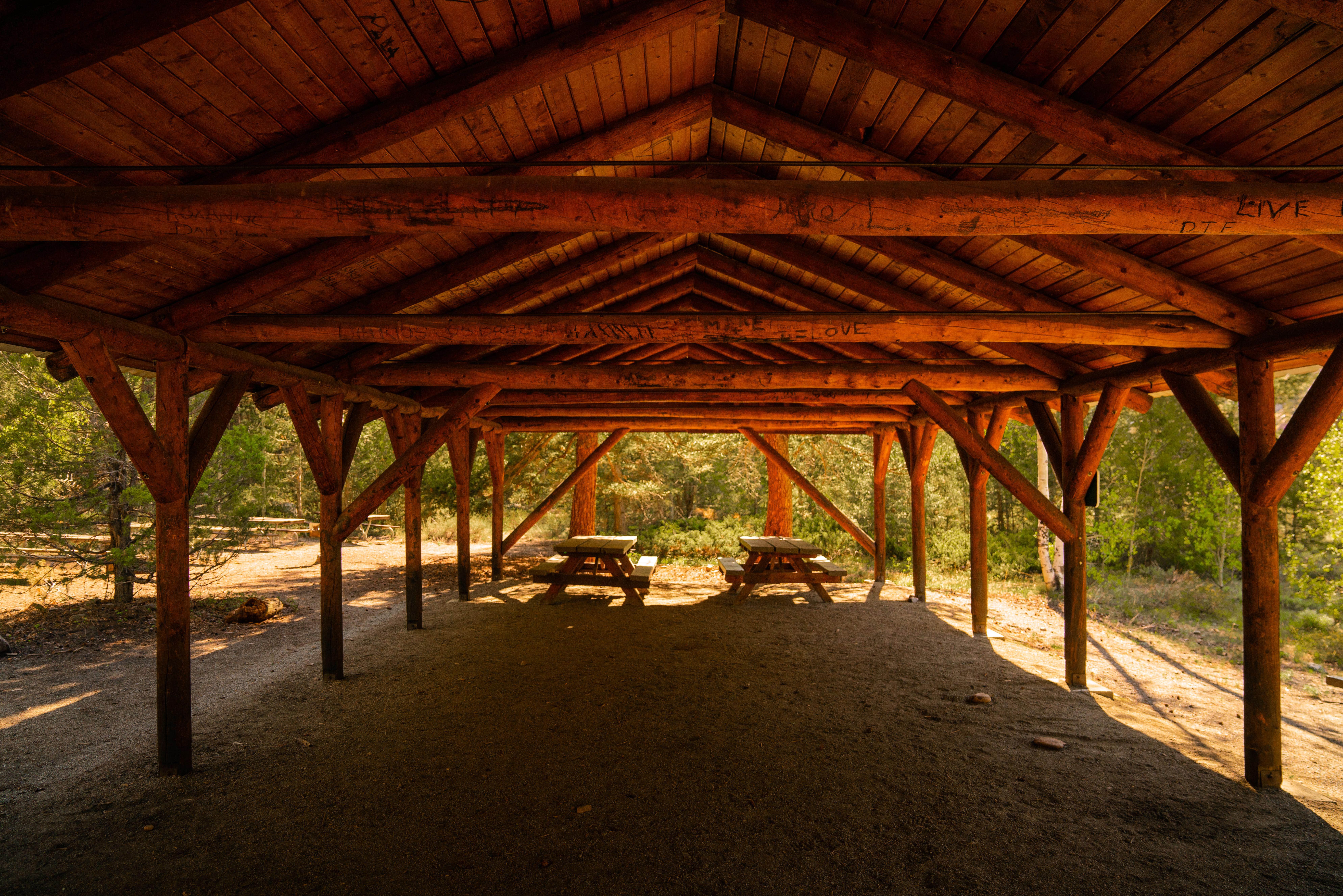 Camping near One Mile Campground: Campfire Ranch on the Taylor, Almont, Colorado