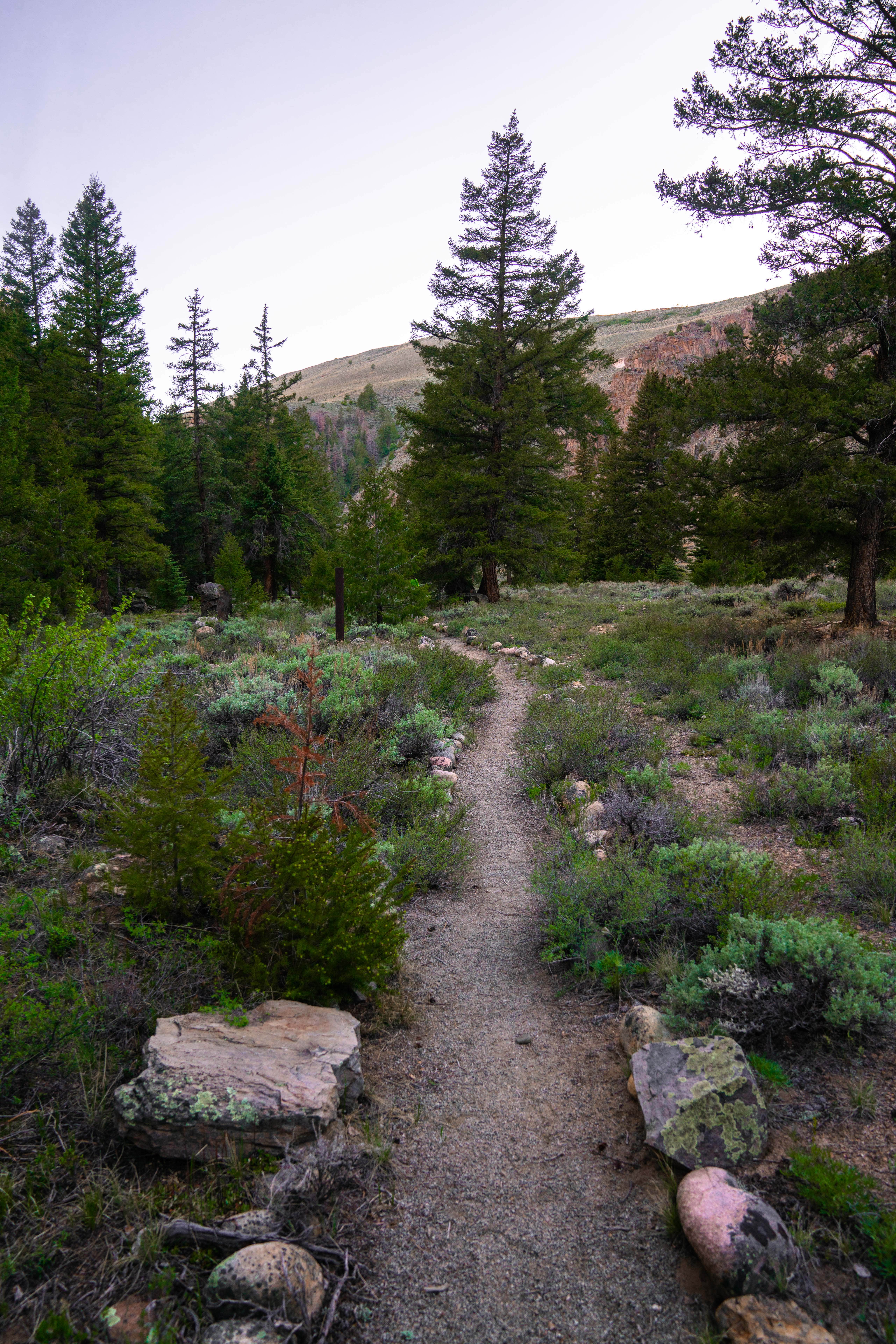 Camper-submitted photo at Campfire Ranch on the Taylor near Pitkin, CO