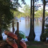 Review photo of George L Smith II State Park Campground by Susan H., June 15, 2020