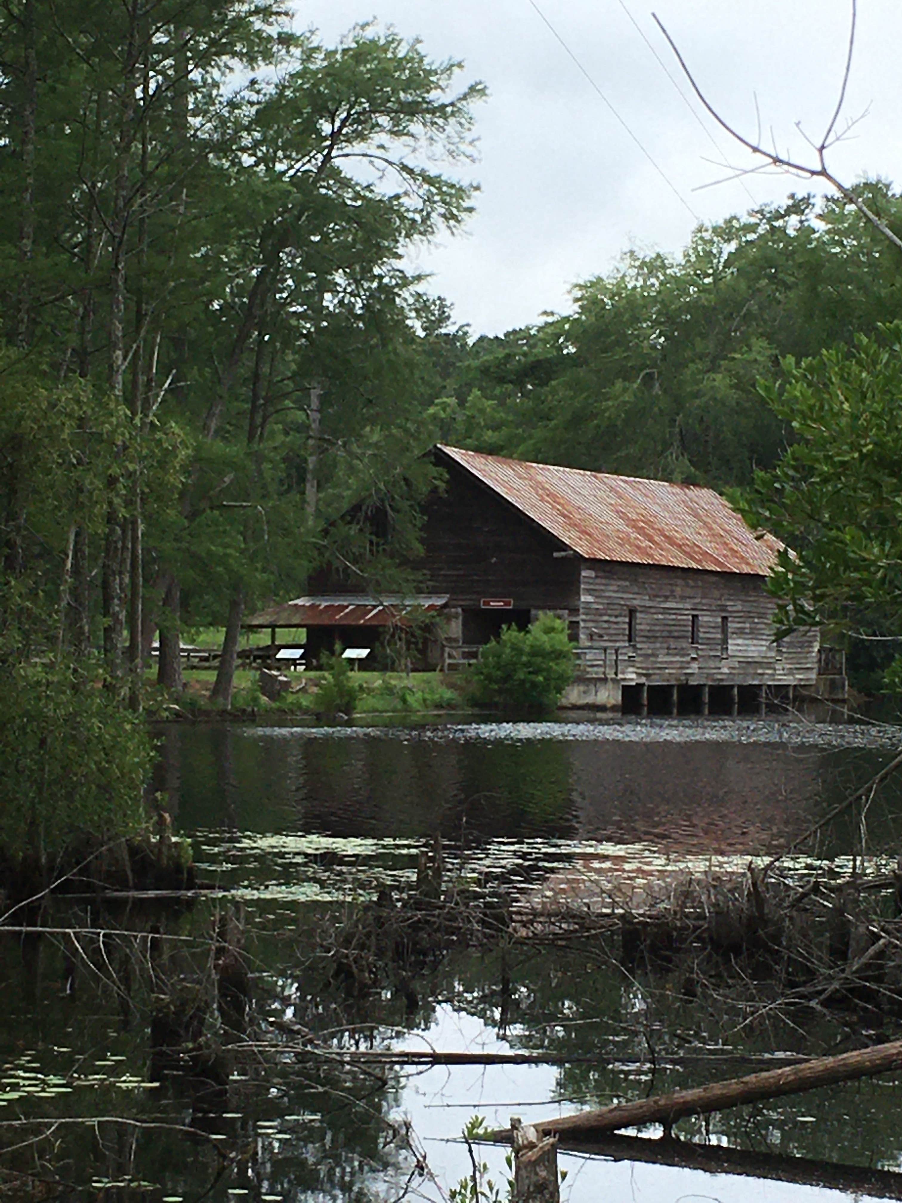 Susan H.'s photo of a cabin at George L. Smith State Park Campground near Guyton, GA