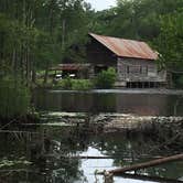 Review photo of George L Smith II State Park Campground by Susan H., June 15, 2020