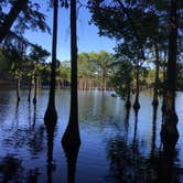 Review photo of George L Smith II State Park Campground by Susan H., June 15, 2020