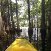 Review photo of George L Smith II State Park Campground by Susan H., June 15, 2020