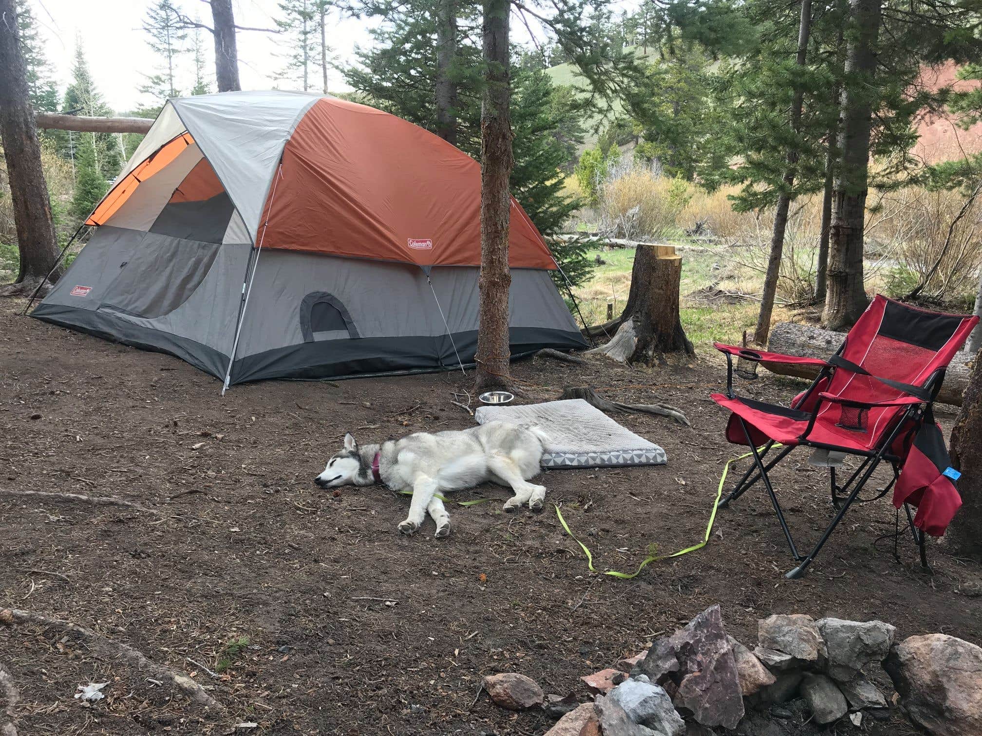 Camper submitted image from Beaver Meadows Resort Ranch - 3