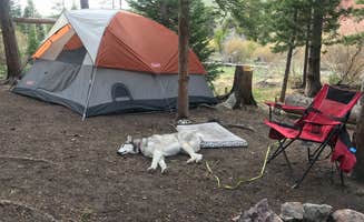 Tim B.'s photo of camping with pets at Beaver Meadows Resort Ranch near Arapaho & Roosevelt National Forests Pawnee NG