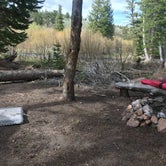 Review photo of Beaver Meadows Resort Ranch by Tim B., June 15, 2020