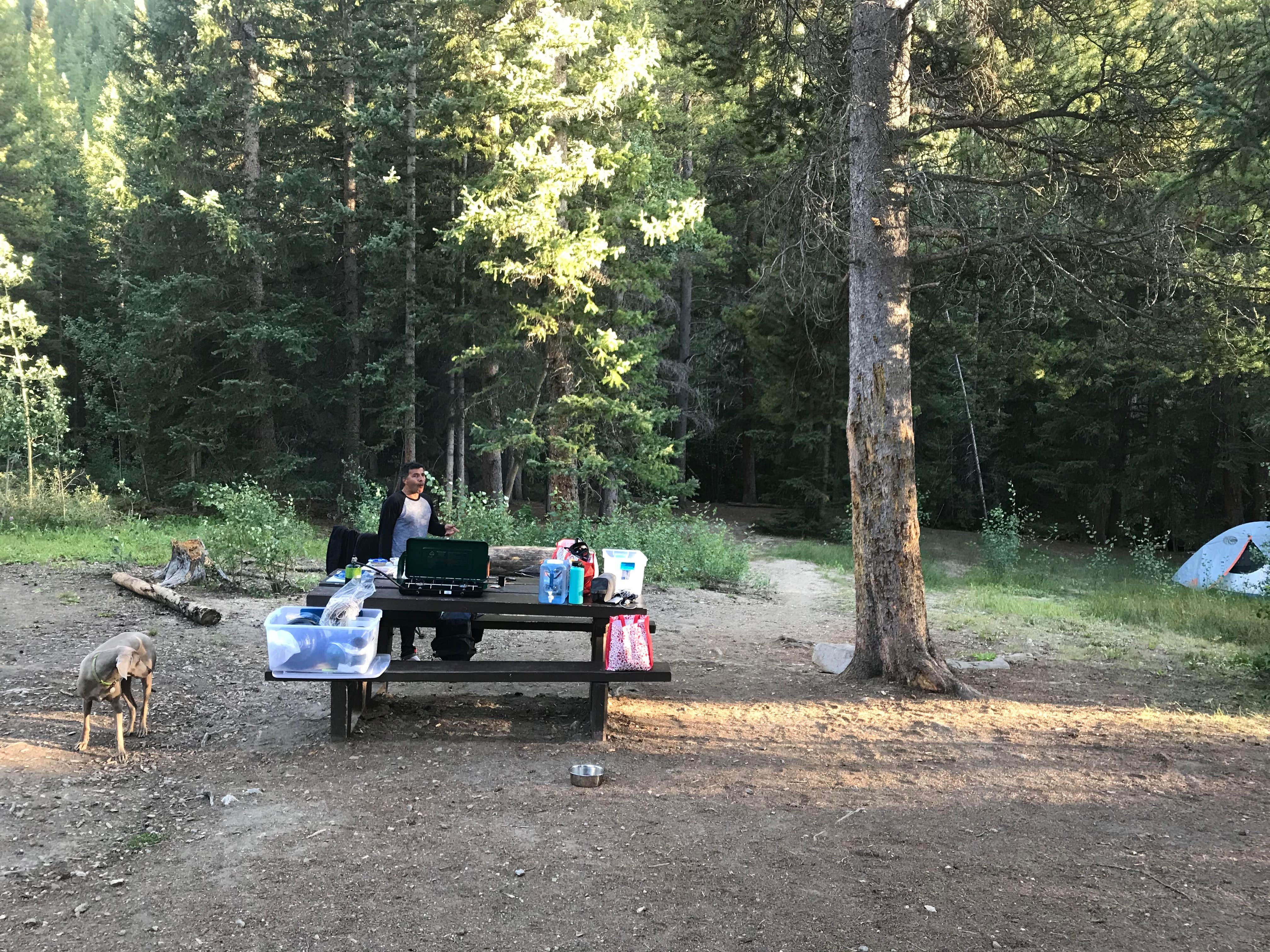 Camper submitted image from Collegiate Peaks - 2