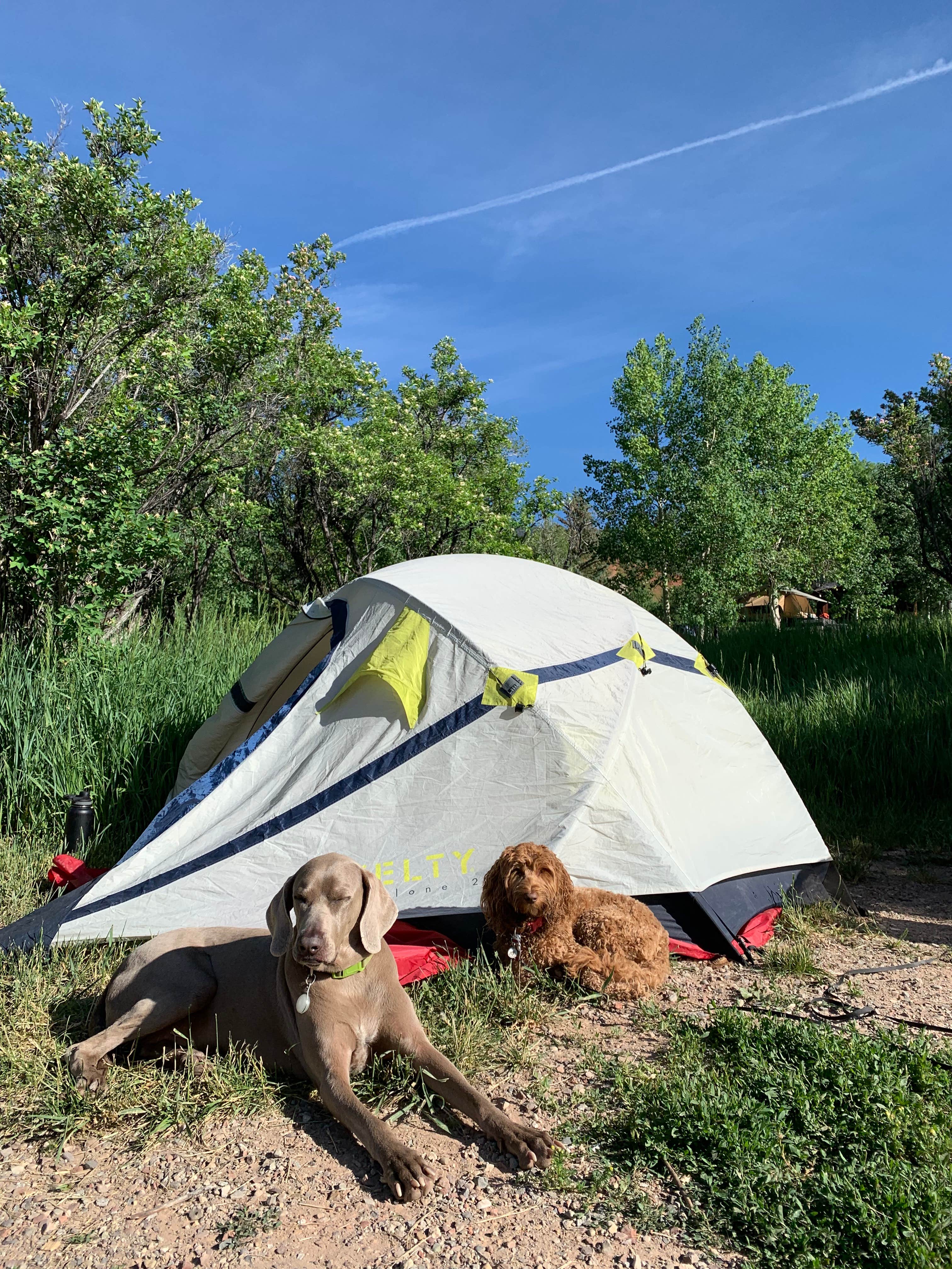 Camper submitted image from Mollie B_white River - 4