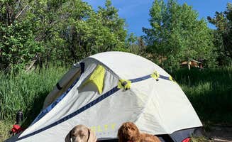 Kate R.'s photo of camping with pets at Mollie B_white River near Meredith, CO