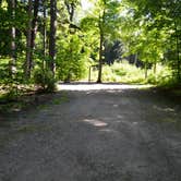 Review photo of Pete's Lake Campground by Nancy W., October 23, 2017