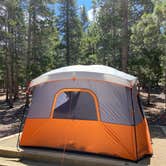 Review photo of Reverend's Ridge Campground — Golden Gate Canyon by Meghan H., June 15, 2020