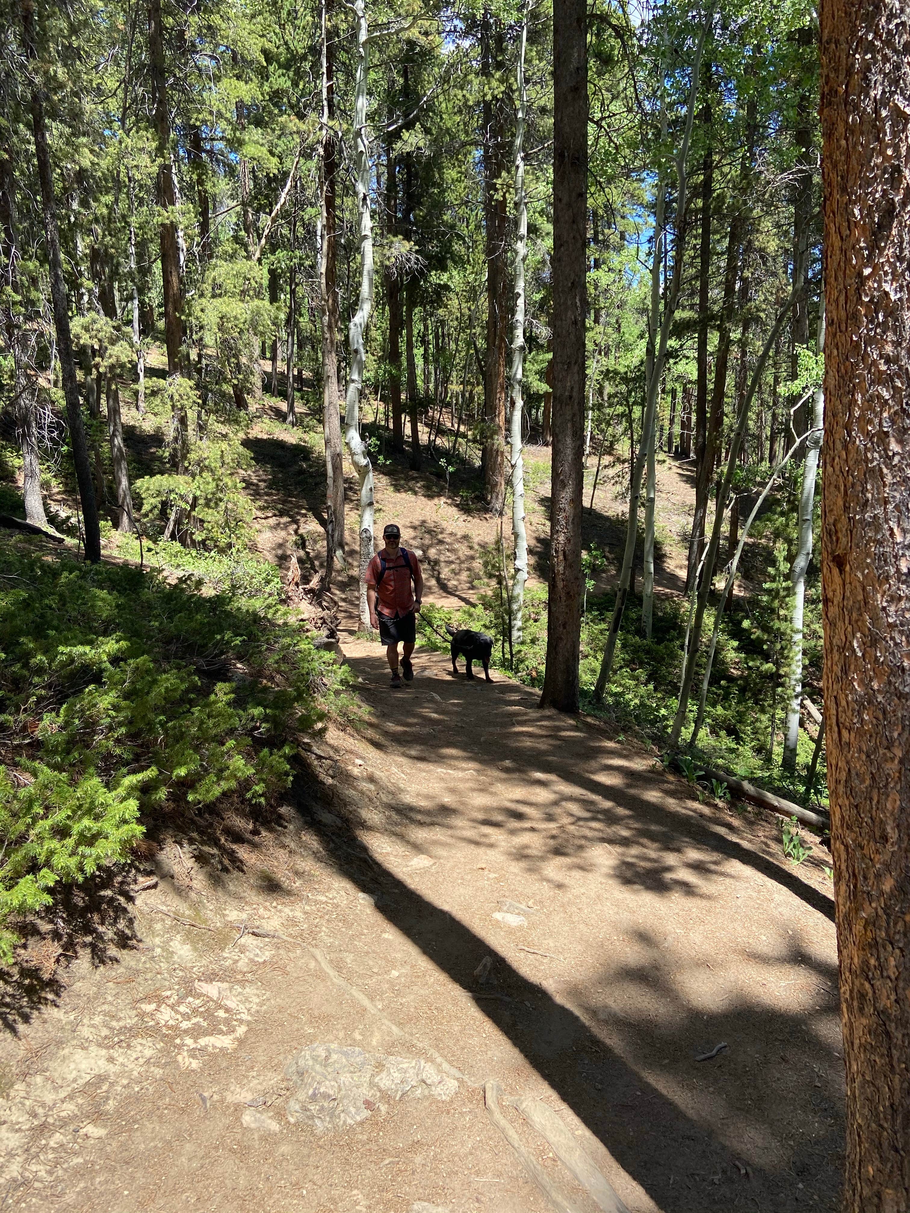 Meghan H.'s photo of camping with pets at Reverend's Ridge Campground — Golden Gate Canyon near Twin Lakes, CO