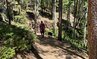 Meghan H.'s photo of camping with pets at Reverend's Ridge Campground — Golden Gate Canyon near Northglenn, CO