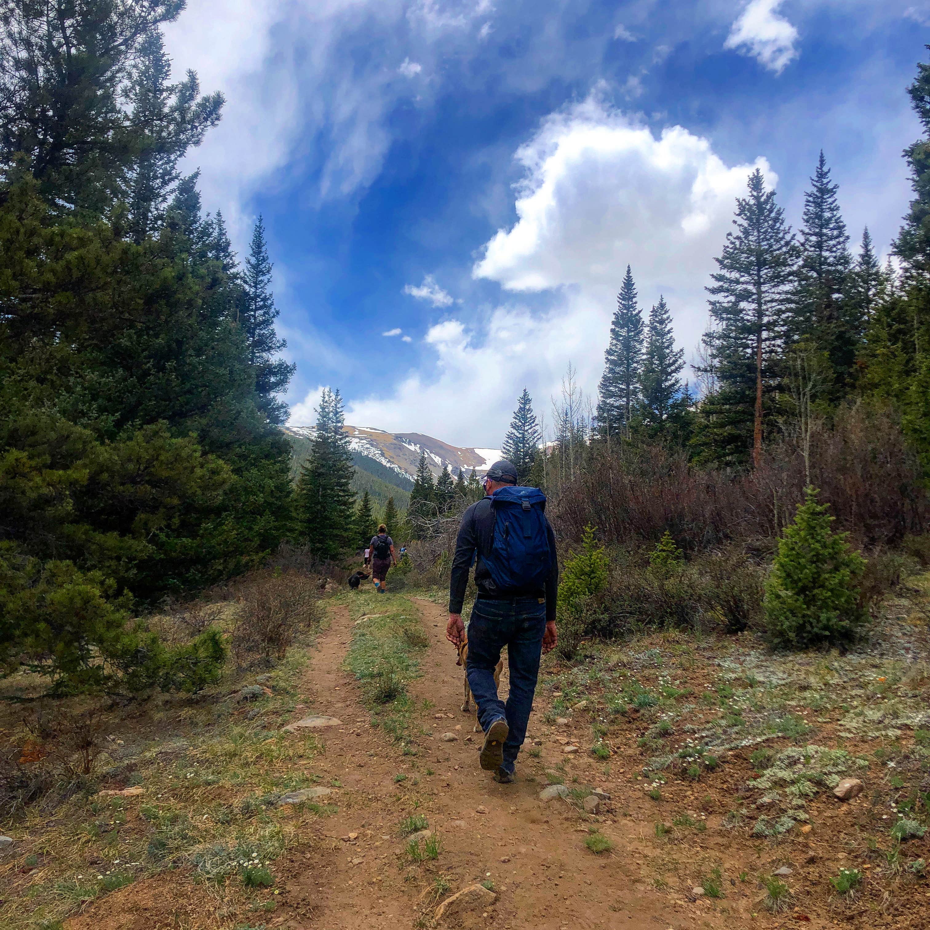 Camper submitted image from Kirby Gulch - 2