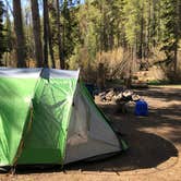 Review photo of Kirby Gulch by Hayley K., June 15, 2020