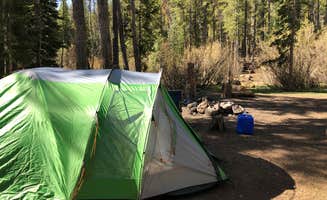 Hayley K.'s photo at Kirby Gulch near Shawnee, CO