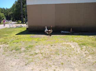 Camper-submitted photo at Moyers Grove Campground near Cranberry, PA