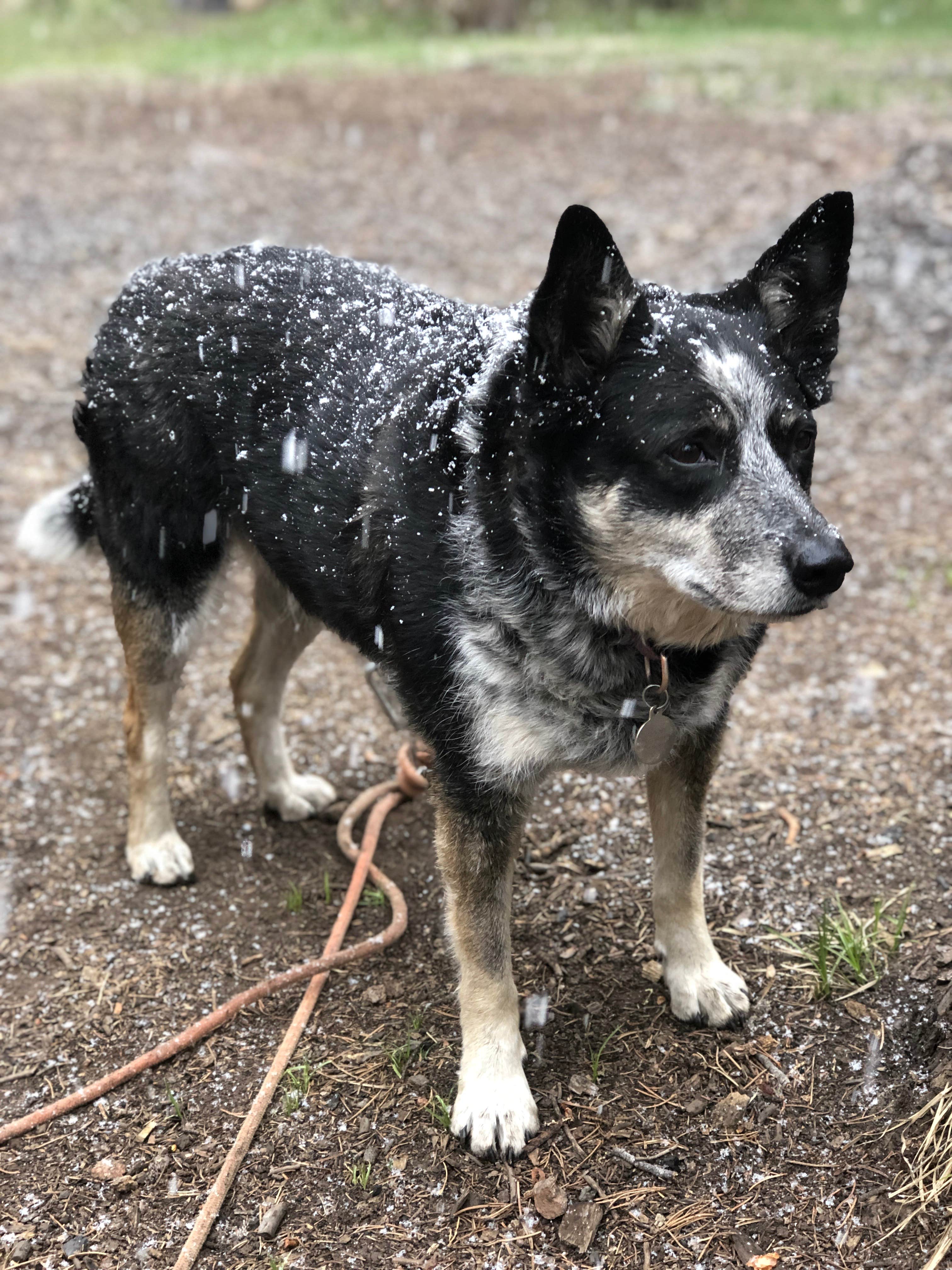 Camper-submitted photo at Kirby Gulch near Idaho Springs, CO