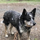 Review photo of Kirby Gulch by Hayley K., June 15, 2020