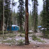 Review photo of Kirby Gulch by Hayley K., June 15, 2020