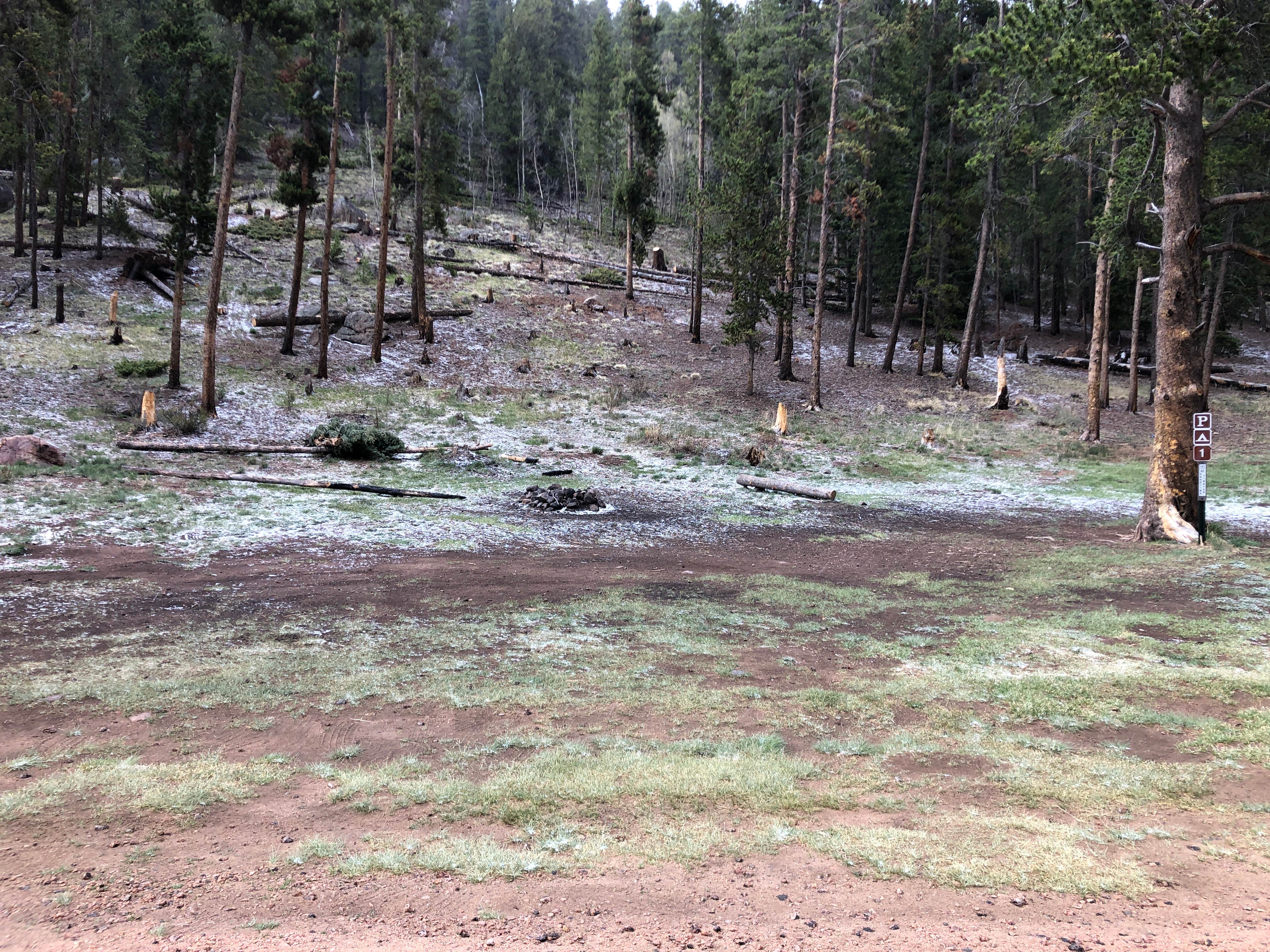 Camper-submitted photo at Kirby Gulch near Idaho Springs, CO