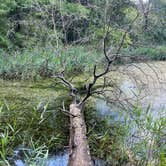 Review photo of Fairfield Lake State Park - PERMANENTLY CLOSED by Mic R., June 15, 2020