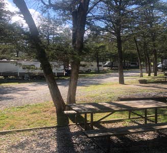 Camper-submitted photo from Anchor Down RV Resort