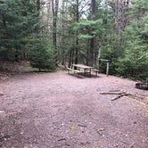 Review photo of New Germany State Park Campground by Bill  G., June 15, 2020