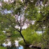 Review photo of Inks Lake State Park Campground by Mic R., June 16, 2020
