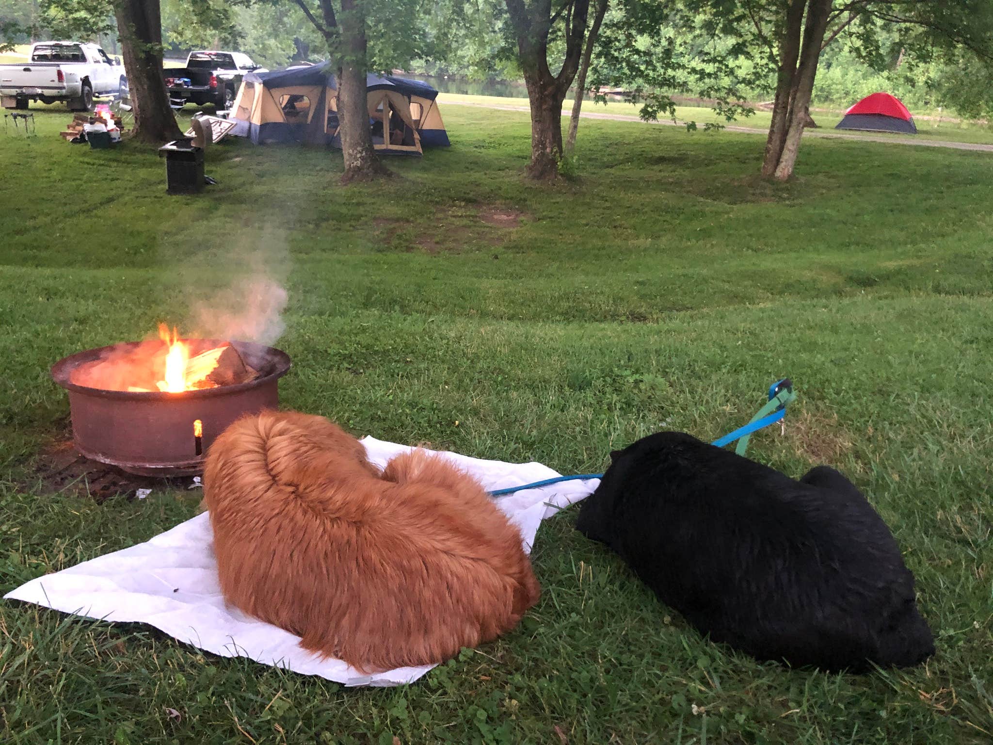 Lauren R.'s photo at Five River Campground near Hendricks, WV