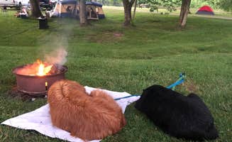 Lauren R.'s photo at Five River Campground near Thomas, WV