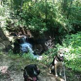 Review photo of Finger Lakes State Park Campground by Meaghan S., June 16, 2020