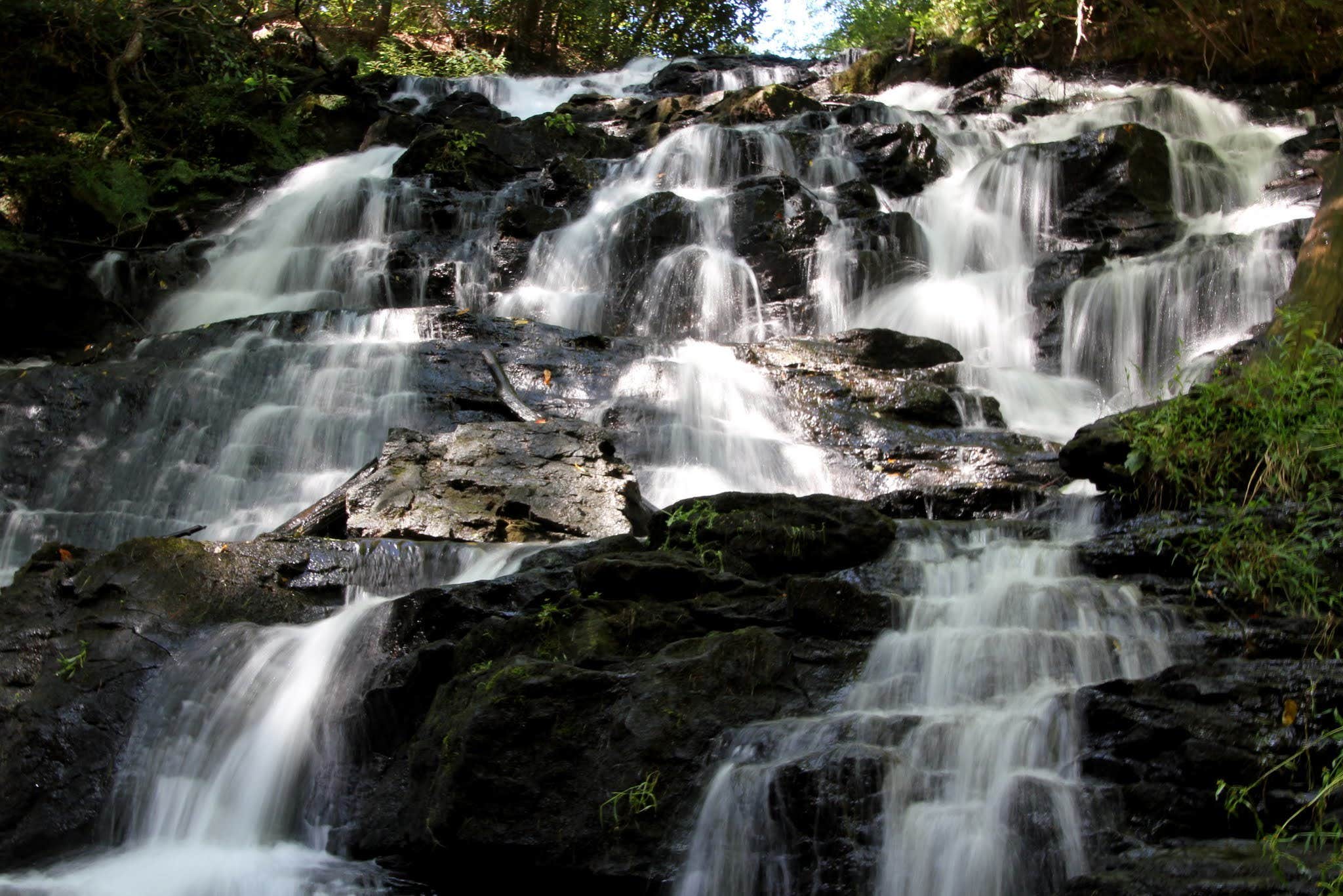 Camper submitted image from Vogel State Park Campground - 3