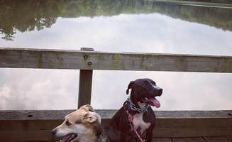 Meaghan S.'s photo of camping with pets at Crowder State Park Campground near Laclede, MO