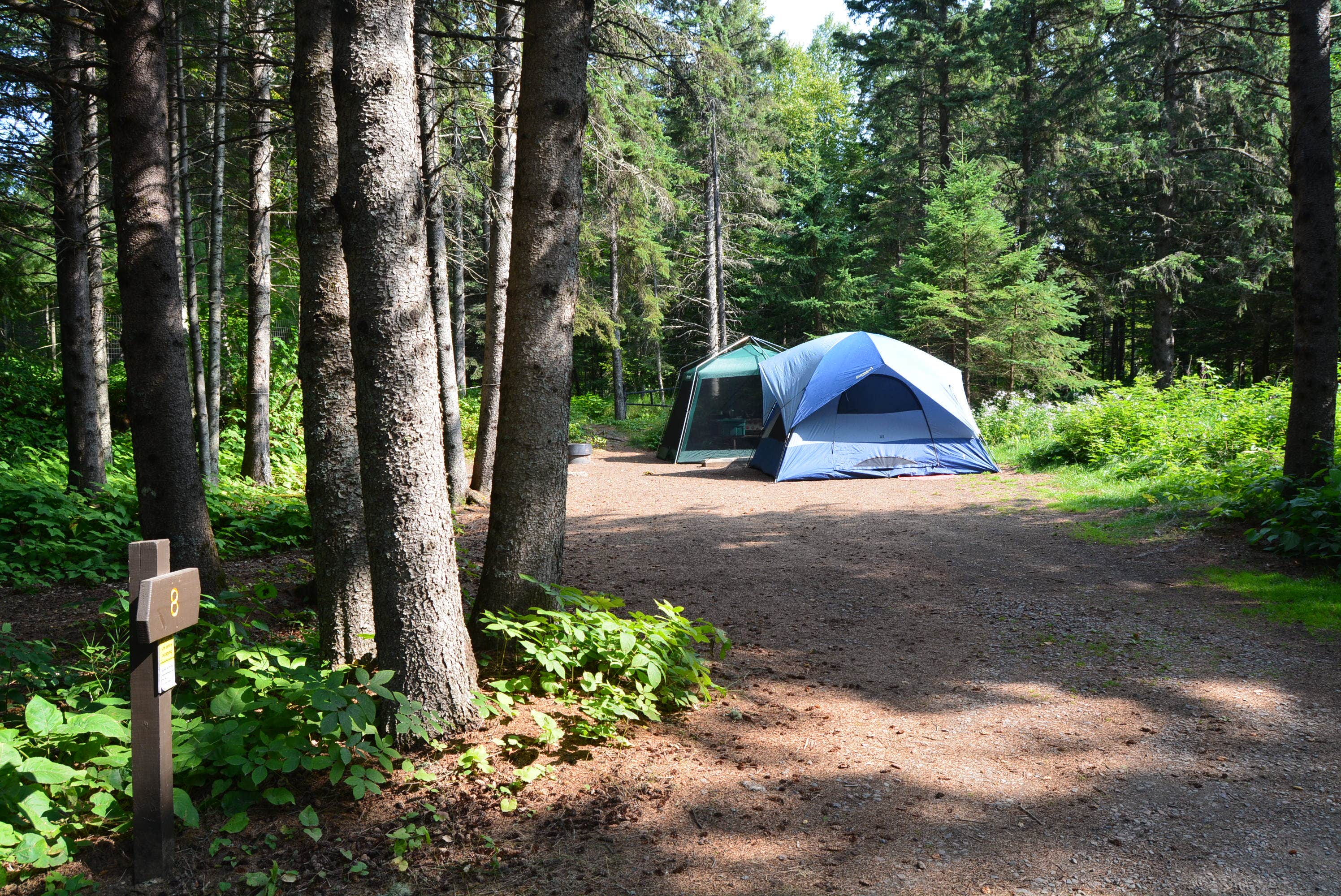 Camper submitted image from Judge C. R. Magney State Park Campground - 2