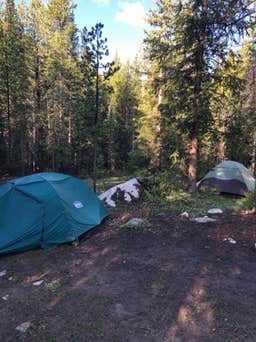 Megan Q.'s photo of tent camping at Peru Creek Designated Dispersed Camping near Montezuma, CO