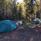 Review photo of Peru Creek Designated Dispersed Camping by Megan Q., June 16, 2020