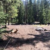 Review photo of Peru Creek Designated Dispersed Camping by Megan Q., June 16, 2020