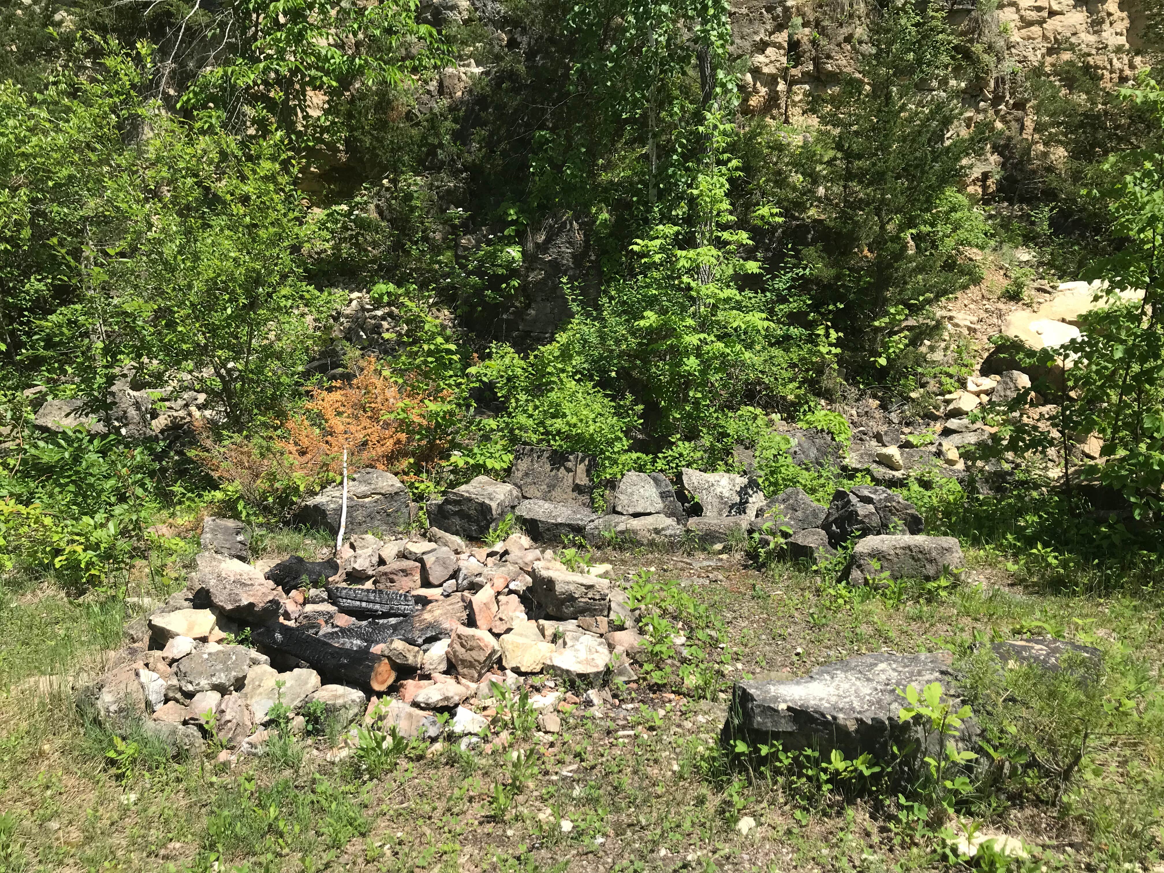 Reno Horse Campground The Dyrt