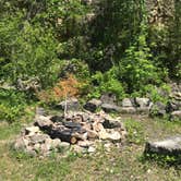 Review photo of Reno Horse Campground — R.J.D. Memorial Hardwood State Forest by Joanna B., June 16, 2020