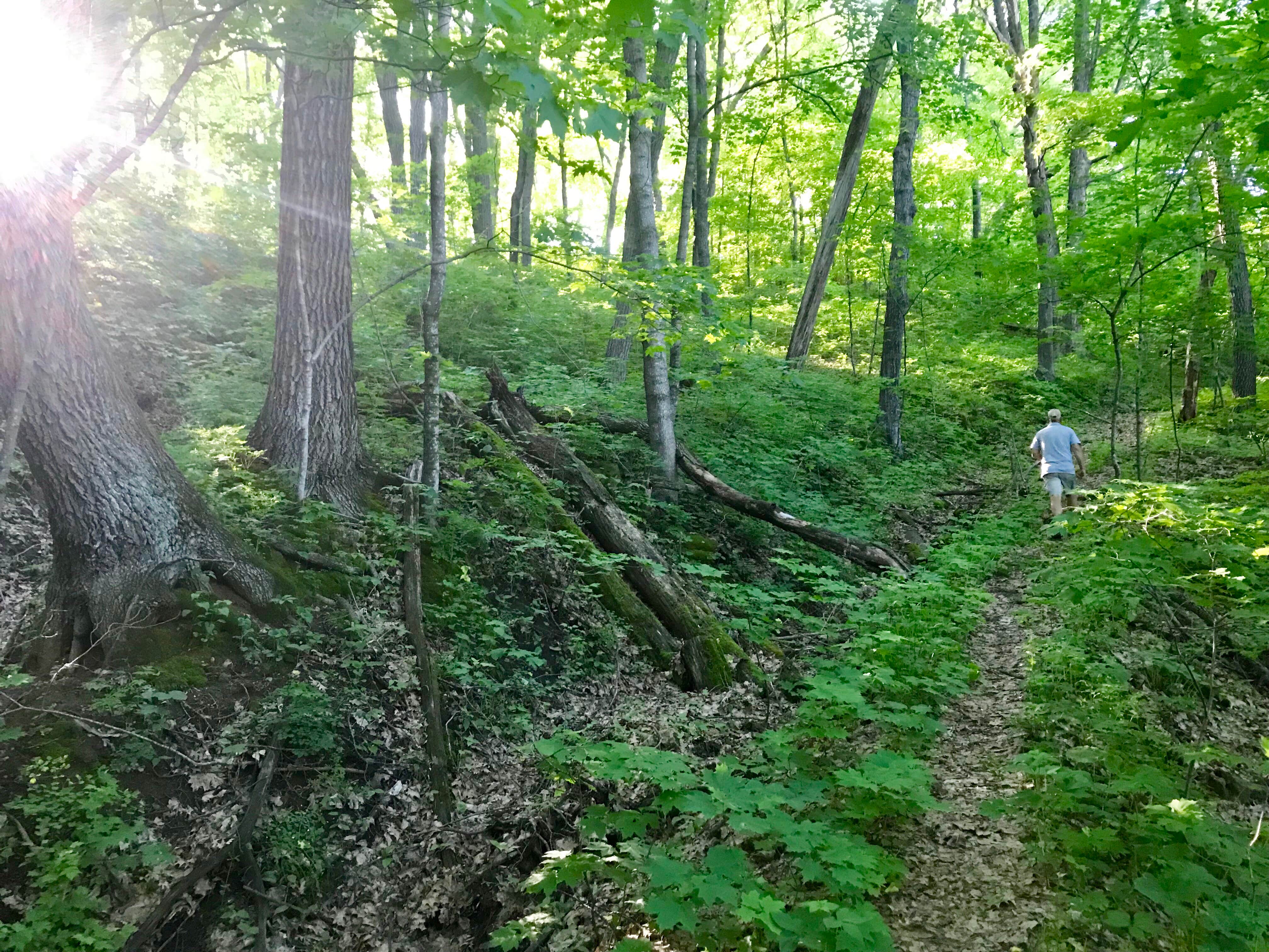 Camper-submitted photo at Reno Horse Campground — R.J.D. Memorial Hardwood State Forest near Newton, WI