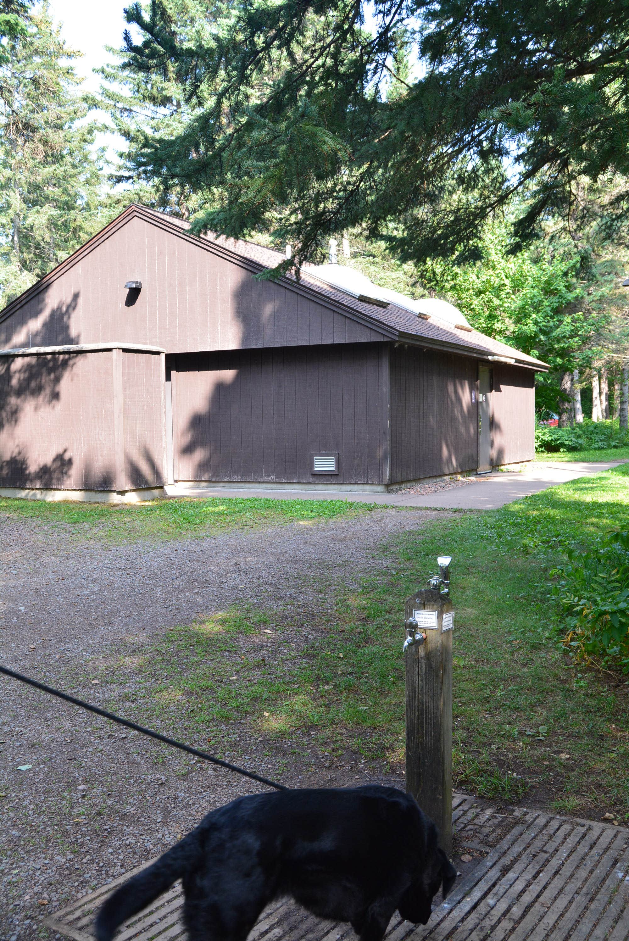 Nancy W.'s photo of camping with pets at Judge C. R. Magney State Park Campground near Lutsen, MN