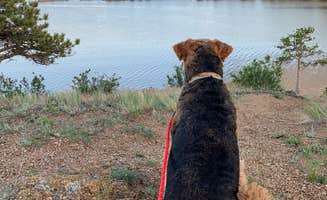 Elizabeth A.'s photo of camping with pets at Curt Gowdy State Park Campground near Cheyenne, WY