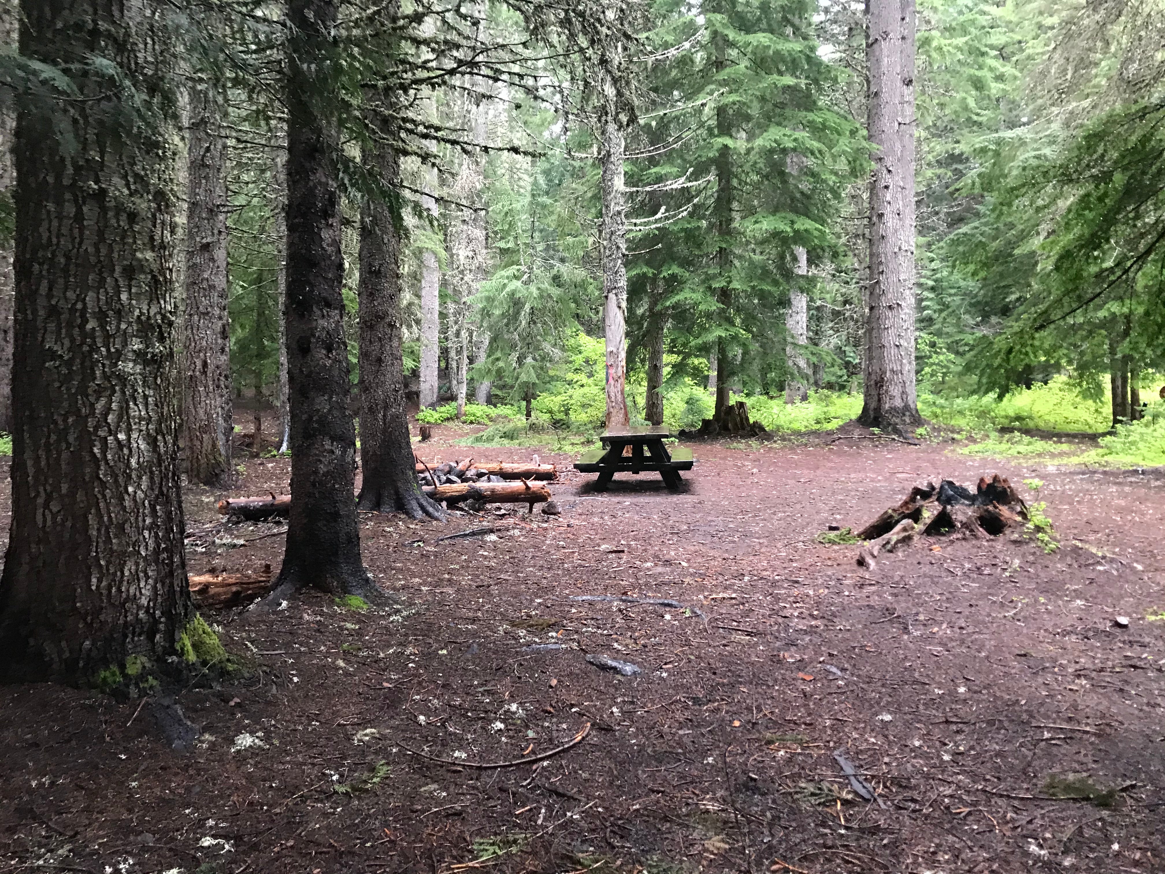 Camper submitted image from Devils Half Acre Campground - 3
