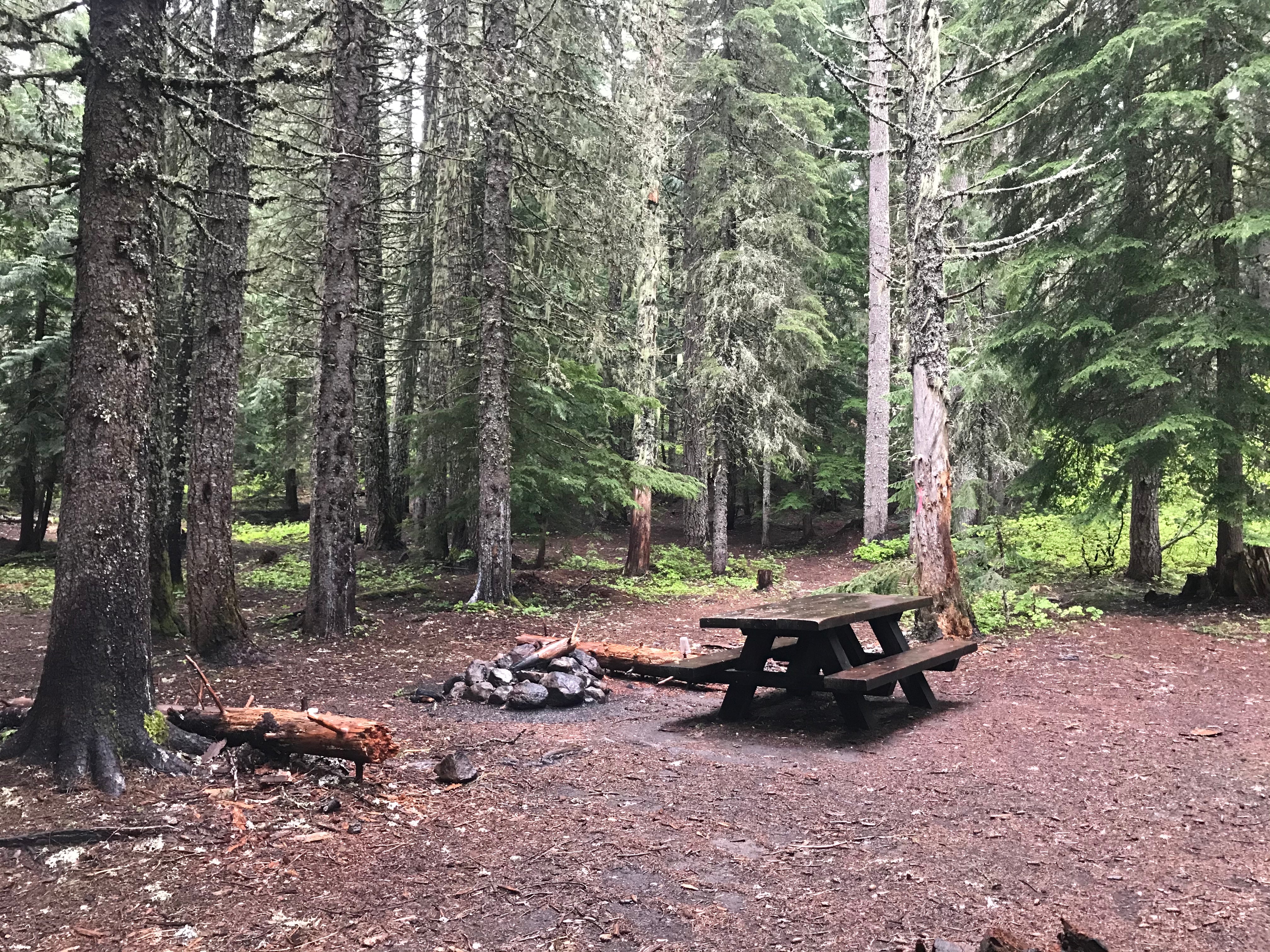 Camper submitted image from Devils Half Acre Campground - 2